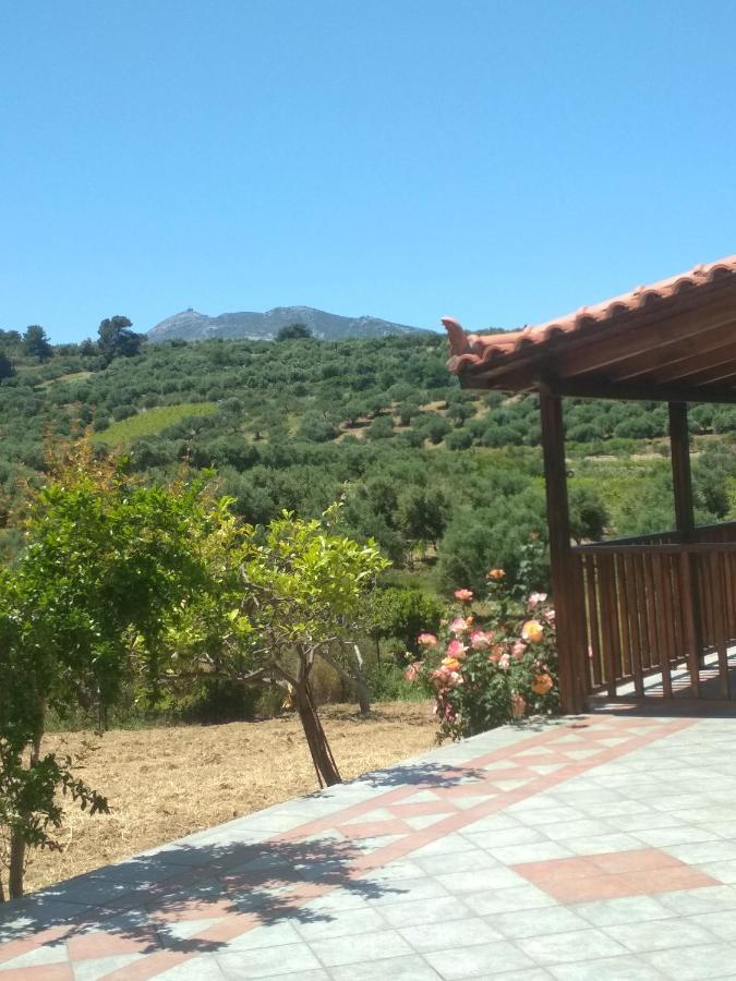Eden Garden Villa Near Knossos Skalanion Екстер'єр фото
