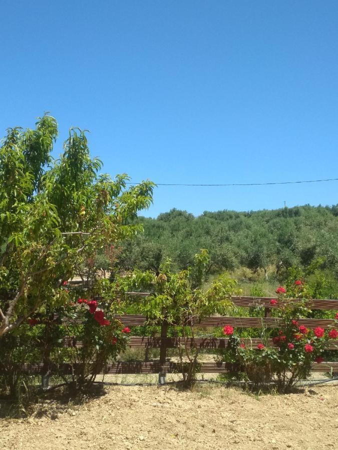 Eden Garden Villa Near Knossos Skalanion Екстер'єр фото