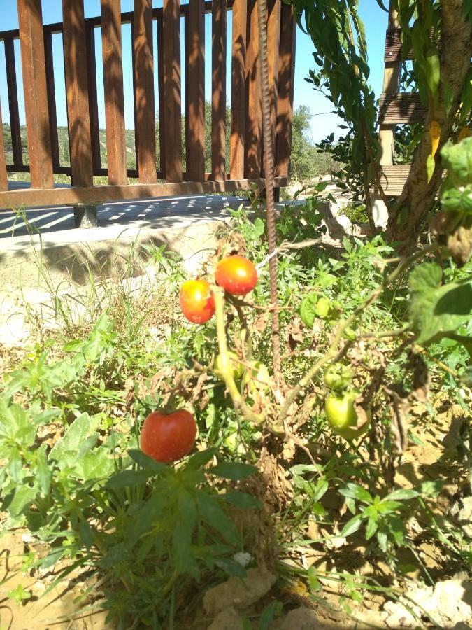 Eden Garden Villa Near Knossos Skalanion Екстер'єр фото